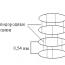 Structure secondaire des protéines et son organisation spatiale