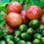 Най-вкусният асортимент от домати и краставици за зимата