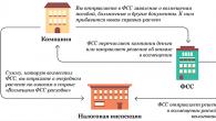 Информационные технологии в Фонде социального страхования РФ (ФСС)