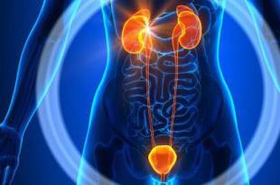 Doenças inflamatórias do aparelho urinário Doenças do aparelho geniturinário urologia