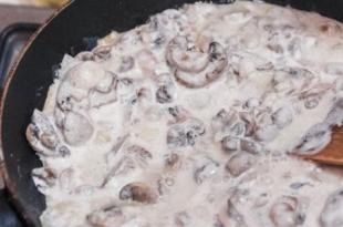 Champignon com creme de leite em uma frigideira - receitas interessantes e saborosas para um prato simples