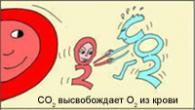 Гемоглобин - основной белок крови