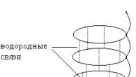 Structure secondaire des protéines et son organisation spatiale